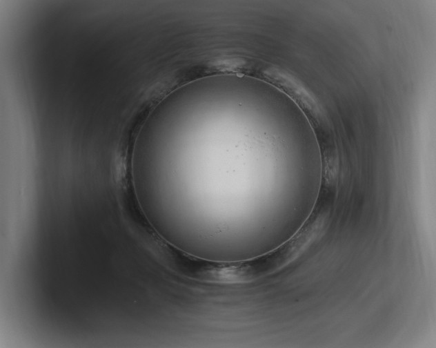 X0000102760365200808181114