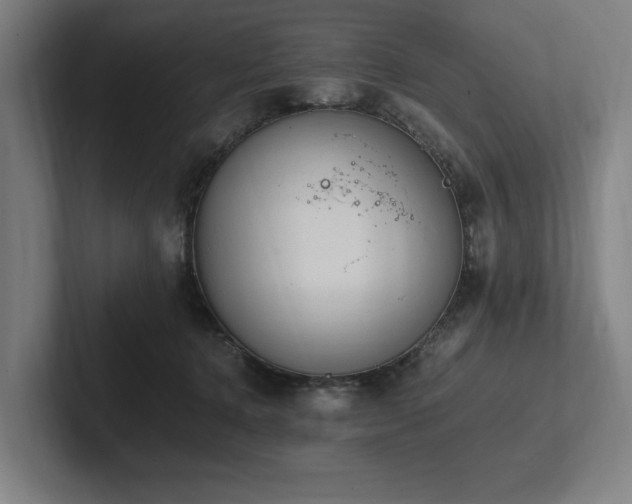 X0000102760368200808181114