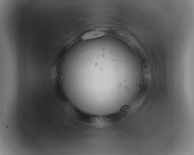 X0000102760372200808181114