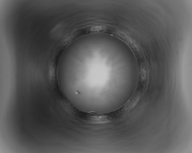 X0000102760375200808181114