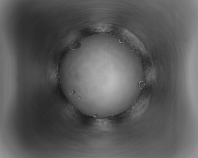 X0000102760376200808181114