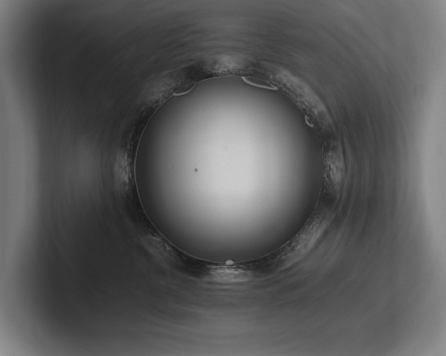 X0000102760380200808181114