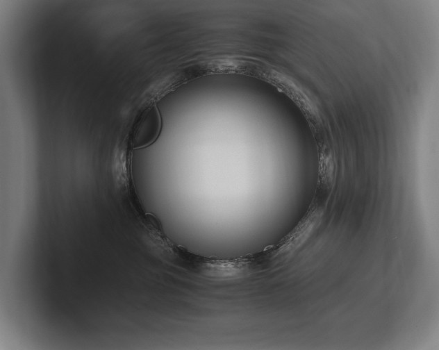 X0000102760381200808181114