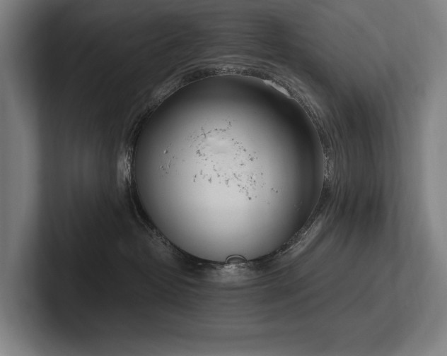 X0000102760382200808181114