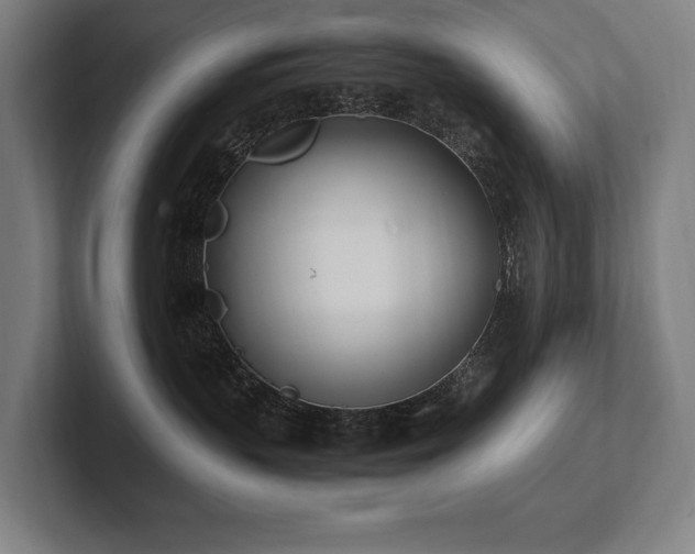 X0000102760383200808181114