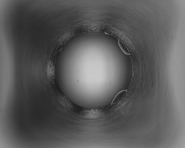 X0000102760384200808181114