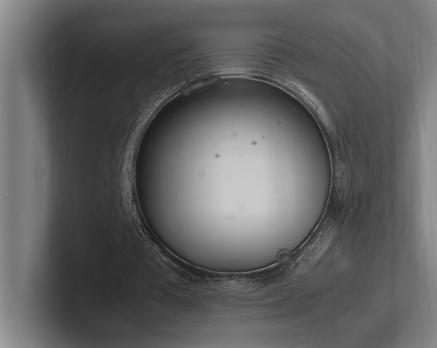 X0000102760385200808181113