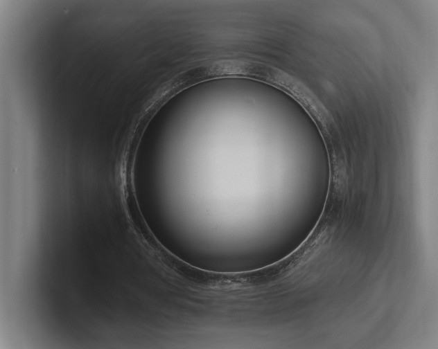 X0000102760386200808181113