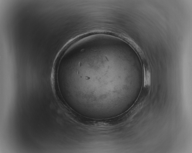 X0000102760387200808181113