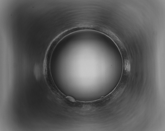 X0000102760388200808181113