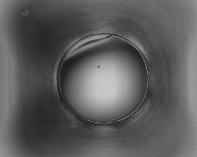 X0000102760389200808181113
