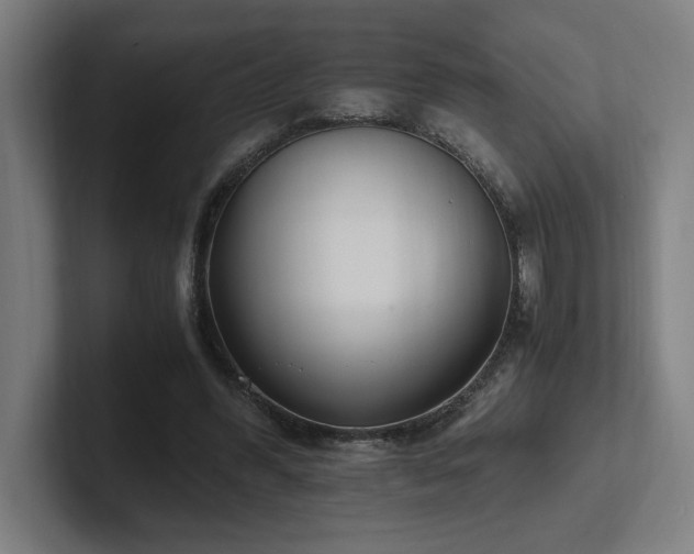 X0000102760396200808181113