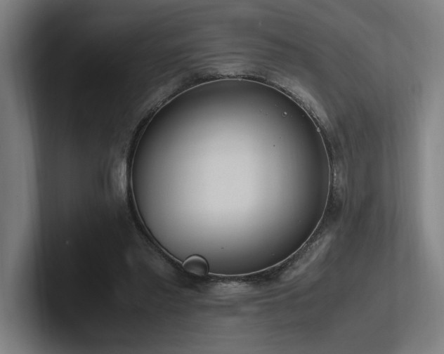 X0000102760397200808181113