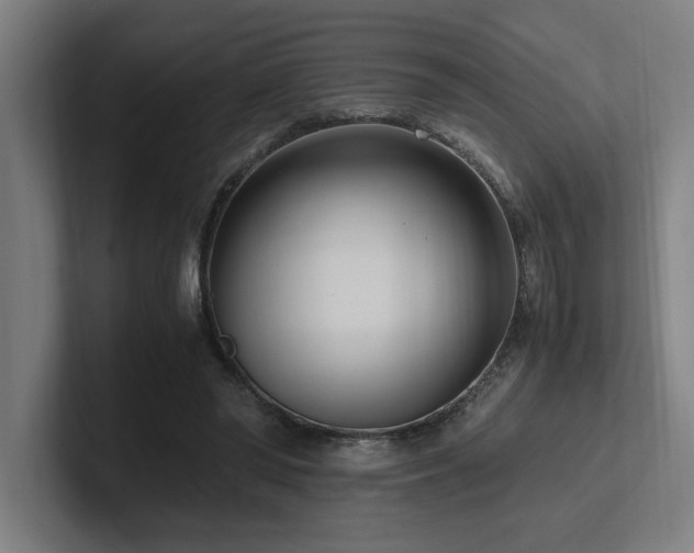 X0000102760398200808181113
