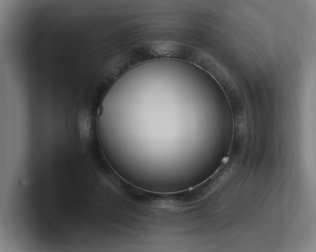 X0000102760408200808181113