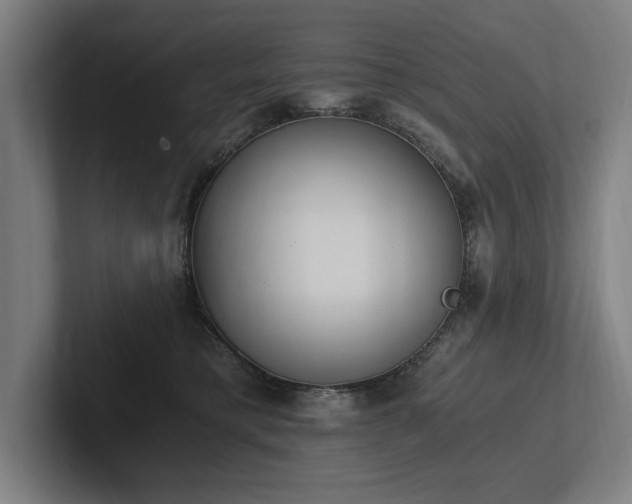 X0000102760421200808181113