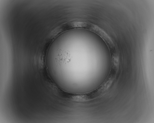 X0000102760422200808181113