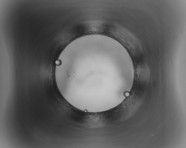 X0000102760423200808181113