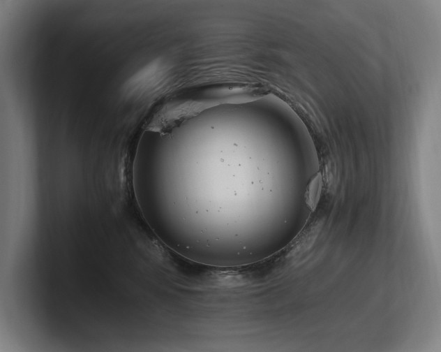 X0000102760424200808181113