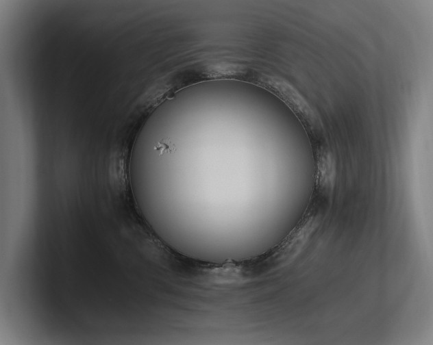 X0000102760426200808181113