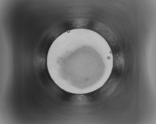 X0000102760427200808181113