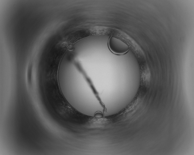 X0000102760429200808181113