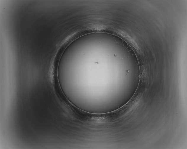 X0000102760440200808181112