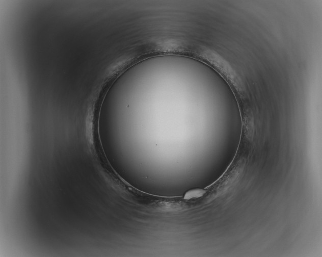 X0000102760442200808181112