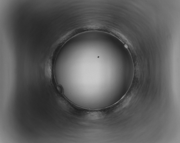 X0000102760446200808181112
