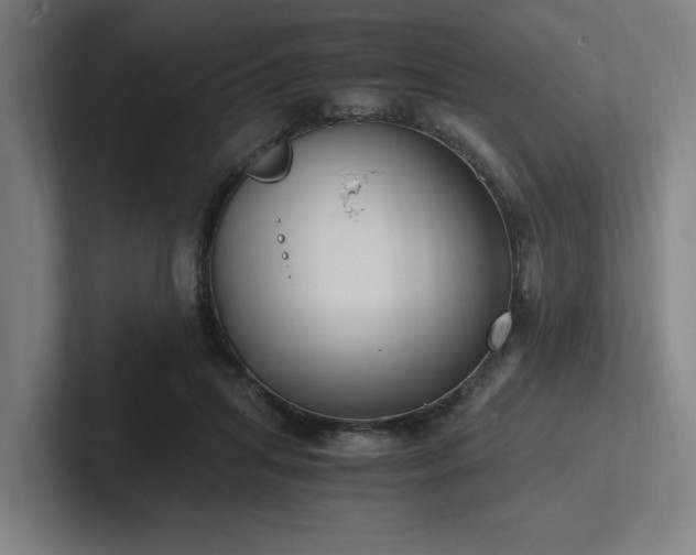 X0000102760455200808181112