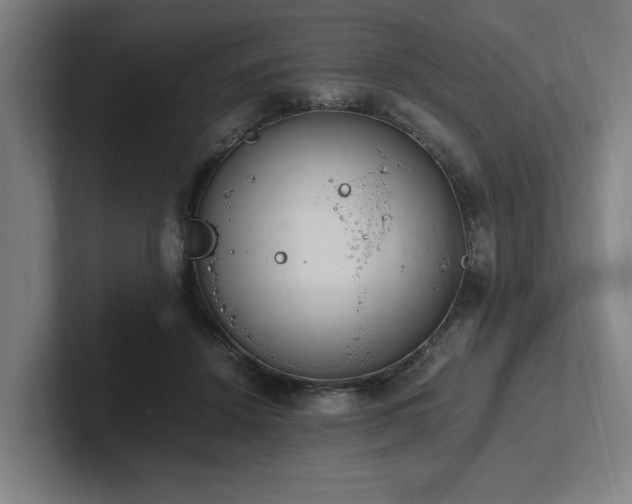X0000102760456200808181112