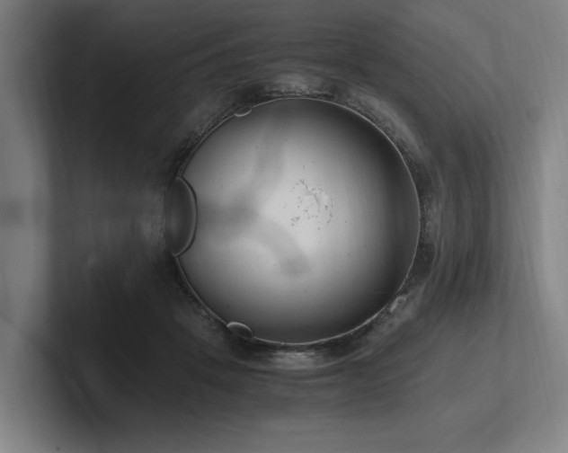X0000102760457200808181112