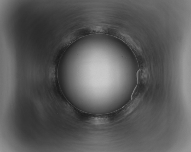 X0000102760466200808181112