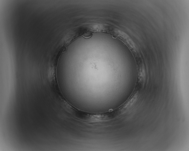 X0000102760473200808181113