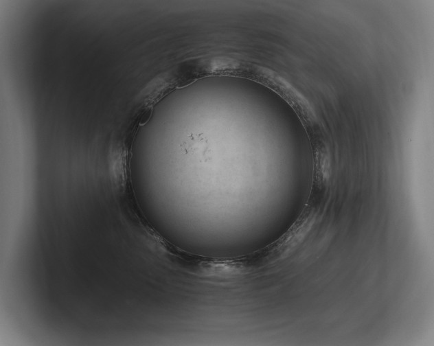 X0000102760475200808181113