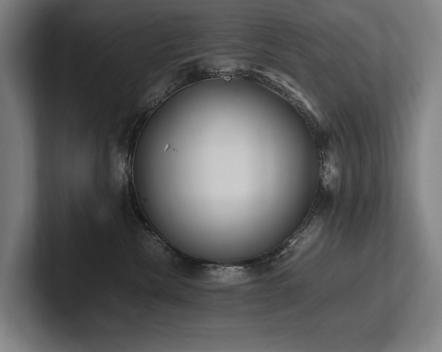 X0000102760476200808181113