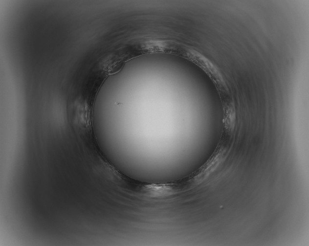 X0000102760477200808181113