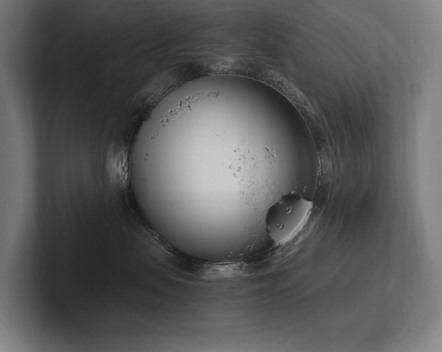 X0000102760479200808181113