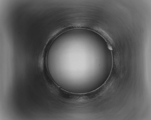 X0000102760488200808181112