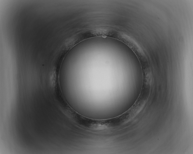 X0000102760498200808181112
