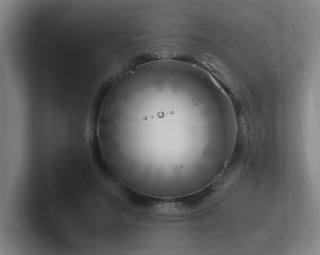 X0000102760499200808181112
