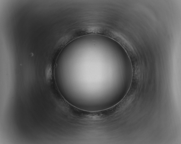 X0000102760502200808181112