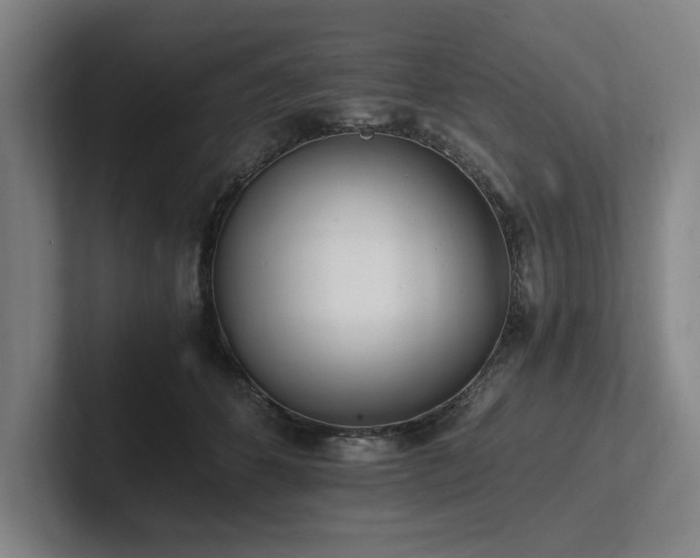 X0000102760512200808181112