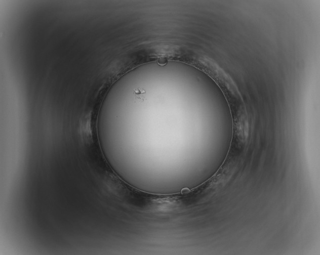 X0000102760516200808181112