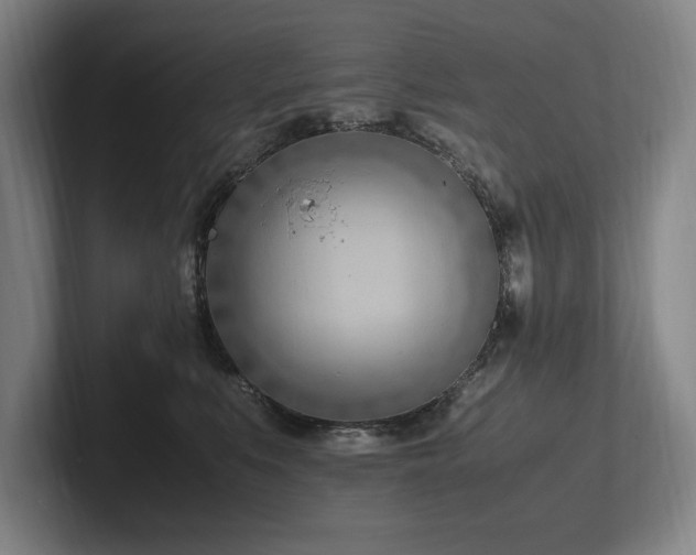 X0000102760519200808181111