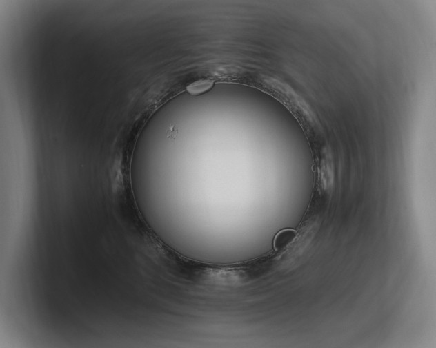 X0000102760520200808181111