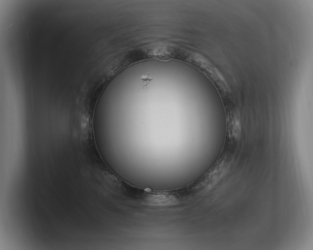 X0000102760521200808181111