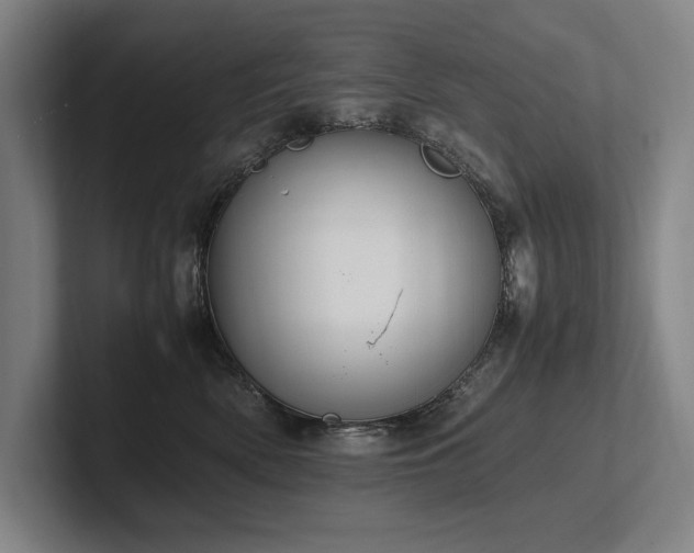 X0000102760522200808181111