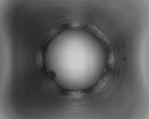 X0000102760524200808181111