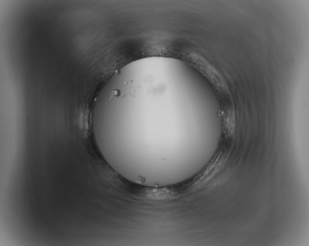 X0000102760525200808181111